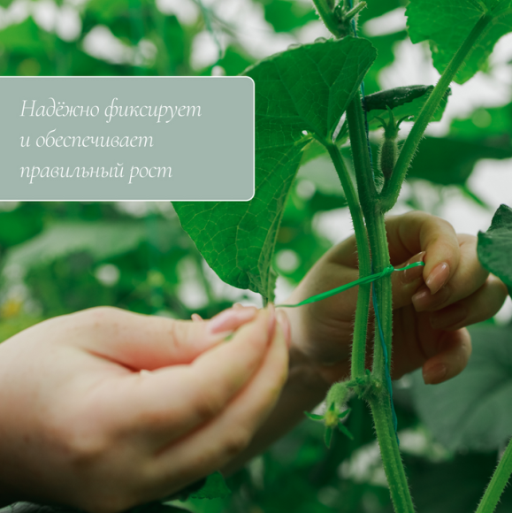 Проволока для крепежа растений 50м на бабине (1 ЭТАЖ) Проволока для крепежа растений 50м на бабине (1 ЭТАЖ)