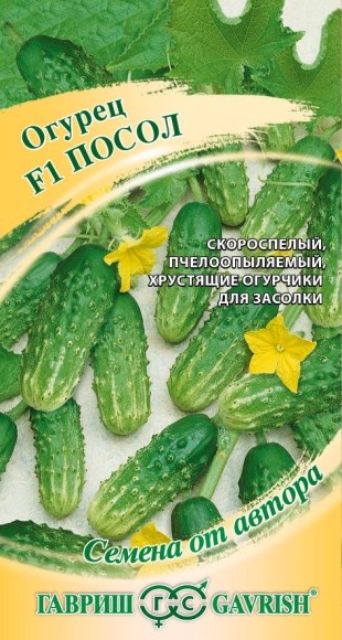 Огурец Посол F1 ЦВ/П (ГАВРИШ)