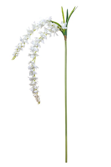 Орхидея ВИСЯЧАЯ 2 ветки белая 150см