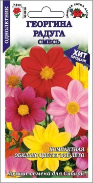 Цветы Георгина Радуга Смесь ЦВ/П (СОТКА) 0,2гр однолетник 50-60см
