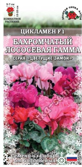 Цветы Цикламен Бахромчатый Лососевая Гамма ЦВ/П (СОТКА) 3шт комнатное 15-25см Цветы Цикламен Бахромчатый Лососевая Гамма ЦВ/П (СОТКА) 3шт комнатное 15-25см