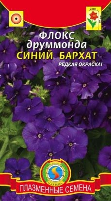 Цветы Флокс Друммонда Синий бархат ЦВ/П (ПЛАЗМА) однолетник 25см