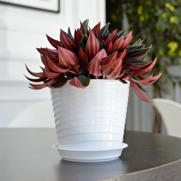 Горшок Верона 0,75лит D-11см Белый с поддоном (фиалочница)