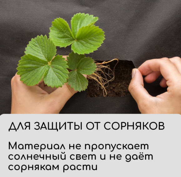 Упаковка Агротекс Чёрный М-120 шир 0.8м /длина 10метр Упаковка Агротекс Чёрный М-120 шир 0.8м /длина 10метр