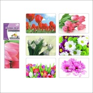 Плёнка-стикер 90*60см Цветы JD-67-37