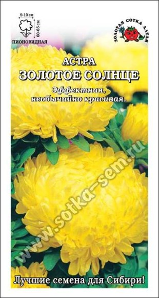 Цветы Астра Золотое солнце ЦВ/П (СОТКА) 0,2гр пионовидная однолетник 60-65см