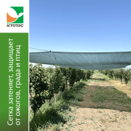 Сетка затеняющая Рулон плотность 70г/м² 3м×50м Зелёная (цена за 1м/п) Сетка затеняющая Рулон плотность 70г/м² 3м×50м Зелёная (цена за 1м/п)