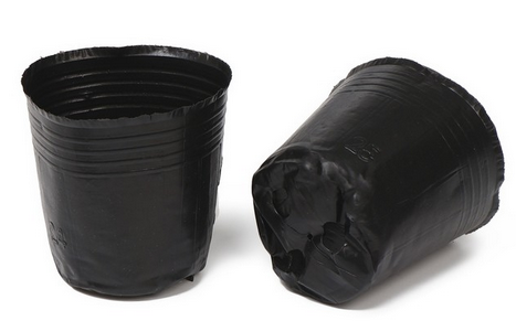 Набор горшков Рассадных полиэтилен Greengo 500мл*50шт (50мкм) Арт-9085249 Набор горшков Рассадных полиэтилен Greengo 500мл*50шт (50мкм) Арт-9085249