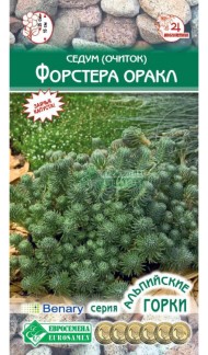 Цветы Седум (очиток) Форстера Оракл ЦВ/П (ЕС) 10шт многолетник 15см