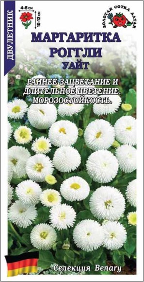Цветы Маргаритка Роггли Уайт ЦВ/П (СОТКА) 10шт двулетник 10-12см