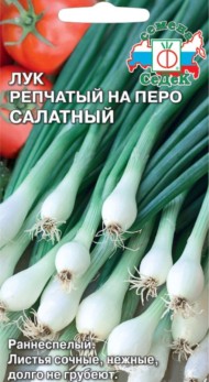 Лук на перо Салатный ЦВ/П (СЕДЕК) 1гр раннеспелый полуострый
