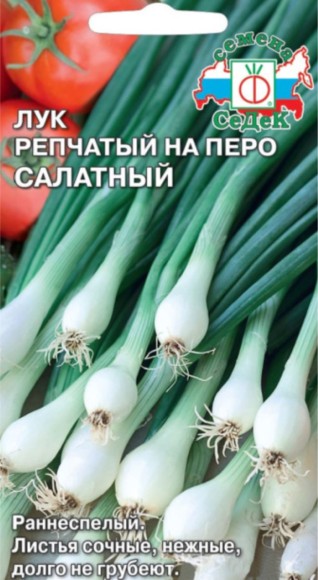 Лук Салатный на перо ЦВ/П (СЕДЕК) 1гр раннеспелый полуострый