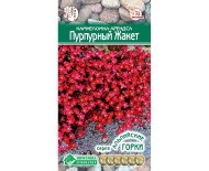 Цветы Камнеломка Арендса Пурпурный жакет ЦВ/П (ЕС) 0,02гр многолетник 10-15см