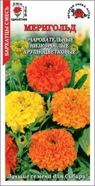Цветы Бархатцы Меригольд Смесь ЦВ/П (СОТКА) 0,1гр однолетник прямостоячие 30-40см