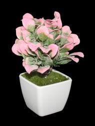 Бонсай с цветными листьями 18см