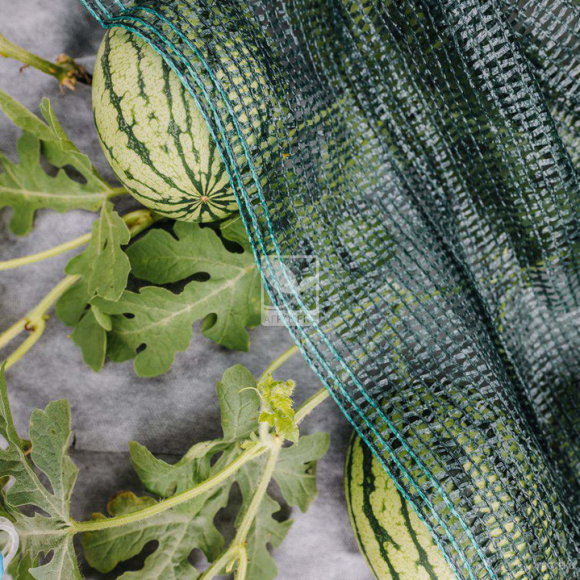 Сетка затеняющая Рулон плотность 55г/м² 4м×50м Зелёная (цена за 1м/п) Сетка затеняющая Рулон плотность 55г/м² 4м×50м Зелёная (цена за 1м/п)