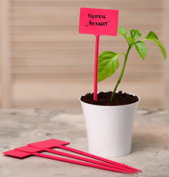 Набор табличек 34см*10штук Greengo Арт-3341028