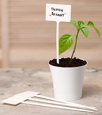 Набор табличек 34см*10штук Greengo Арт-3341028