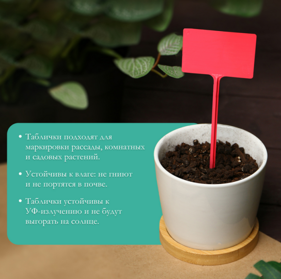 Набор табличек 34см*10штук Greengo Арт-3341028