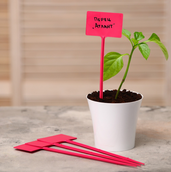 Набор табличек 34см*10штук Greengo Арт-3341028