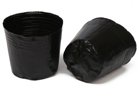 Набор горшков Рассадных полиэтилен Greengo 800мл*50шт (50мкм) Арт-9085250