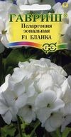 Цветы Пеларгония Бланка зональная F1 ЦВ/П (ГАВРИШ) 4шт белая комнатное 35см