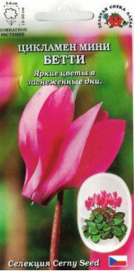 Цветы Цикламен Мини Бетти ЦВ/П (СОТКА) 3шт комнатное 15-30см