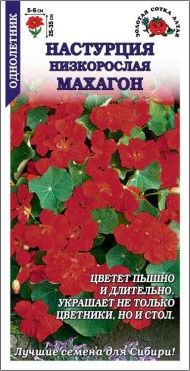 Цветы Настурция Махагон ЦВ/П (СОТКА) 0,5гр однолетник до 35см