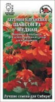 Цветы Бегония Шансон Медная F1 ЦВ/П (СОТКА) 5шт комнатное 45см