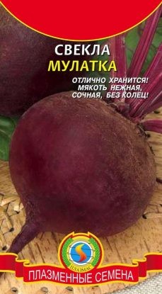 Свекла Мулатка-Шоколадка ЦВ/П (ПЛАЗМА) 2гр среднеспелый круглый Свекла Мулатка-Шоколадка ЦВ/П (ПЛАЗМА) 2гр среднеспелый круглый