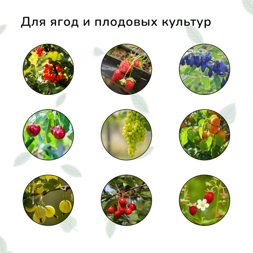 Сетка от Птиц 2м*5м Зелёная (1уп/1шт) ячея 8*8мм