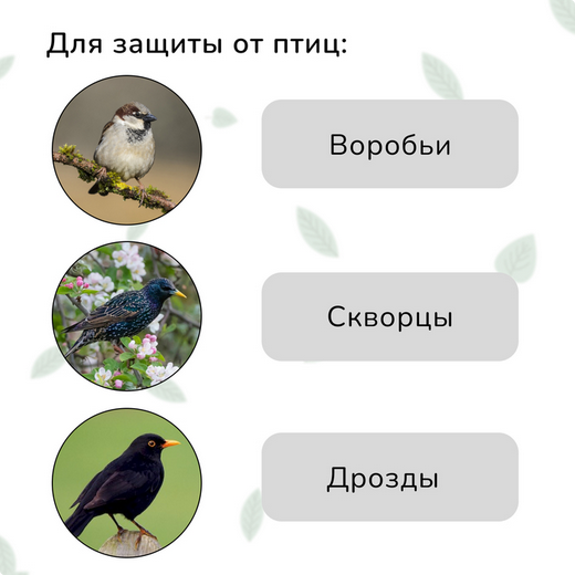 Сетка от Птиц 2м*5м Зелёная (1уп/1шт) ячея 8*8мм