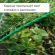 Сетка от Птиц 2м*5м Зелёная (1уп/1шт) ячея 8*8мм