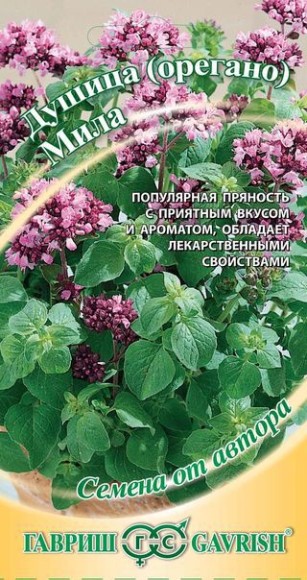 Пряность Душица Мила (орегано) ЦВ/П (ГАВРИШ) 0,1гр многолетник