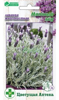 Пряность Лаванда Мятный лёд ЦВ/П (ЕС) 7шт многолетник Пряность Лаванда Мятный лёд ЦВ/П (ЕС) 7шт многолетник