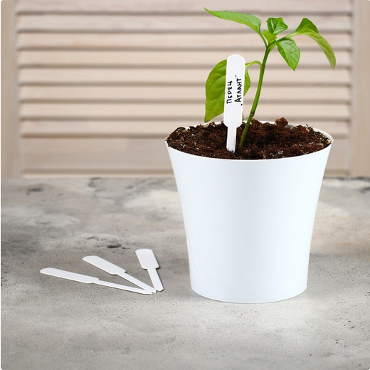 Набор табличек 12см*20шт Greengo Арт-9682385