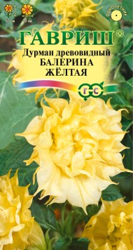 Цветы Датура (Дурман) Балерина Жёлтая ЦВ/П (ГАВРИШ) 5шт однолетник до 50см Цветы Датура (Дурман) Балерина Жёлтая ЦВ/П (ГАВРИШ) 5шт однолетник до 50см