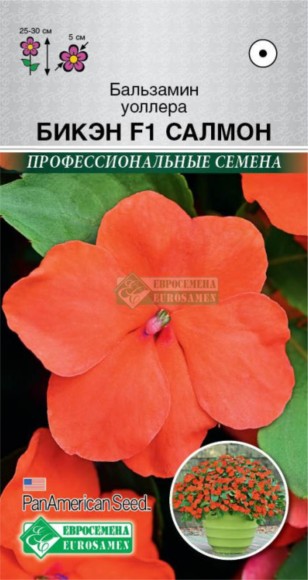 Цветы Бальзамин Уоллера F1 Бикэн Салмон ЦВ/П (ЕС) 5шт однолетник 25-30см