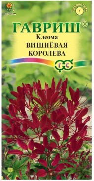 Цветы Клеома Вишнёвая Королева ЦВ/П (ГАВРИШ) 0,2гр однолетник до 1,5м