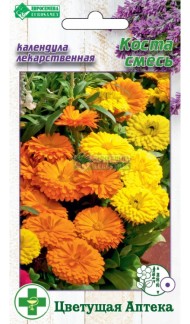 Цветы Календула Коста Смесь ЦВ/П (ЕС) 10шт лекарственный однолетник 25-30см Цветы Календула Коста Смесь ЦВ/П (ЕС) 10шт лекарственный однолетник 25-30см