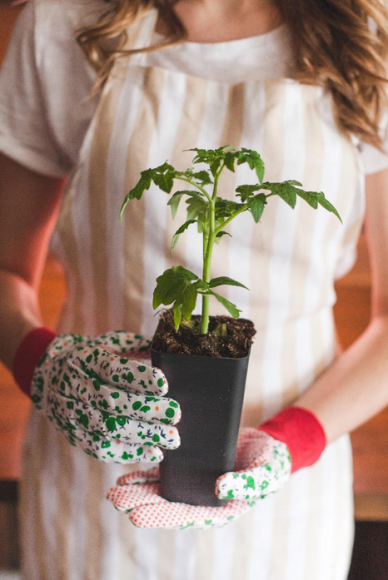 Набор горшков Рассадных пластик квадратные Greengo 600мл*20шт Арт-3340012