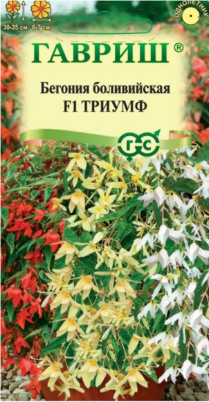 Цветы Бегония Триумф боливийская смесь ЦВ/П (ГАВРИШ) 4шт однолетник 30-35см