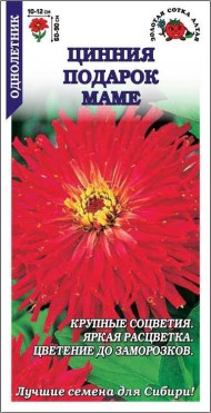 Цветы Цинния Подарок Маме ЦВ/П (СОТКА) 0,3гр кактусовидная красная однолетник 60-90см Цветы Цинния Подарок Маме ЦВ/П (СОТКА) 0,3гр кактусовидная красная однолетник 60-90см