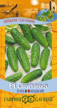 Огурец Смуглянка F1 ЦВ/П (ГАВРИШ) 10шт суперскороспелый партенокарпический