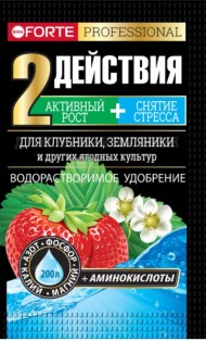 Удобрение Бона Форте Клубники Земляники 100гр (1уп/10шт) СКЛАД