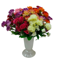 Букет Гвоздик 13 голов 35см Арт-А-15