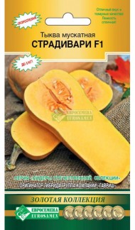 Тыква Страдивари мускатная ЦВ/П (ЕС) 3шт скороспелый длинноплетистый Тыква Страдивари мускатная ЦВ/П (ЕС) 3шт скороспелый длинноплетистый