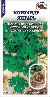Пряность кориандр Янтарь ЦВ/П (СОТКА) 2гр среднеспелый Пряность кориандр Янтарь ЦВ/П (СОТКА) 2гр среднеспелый