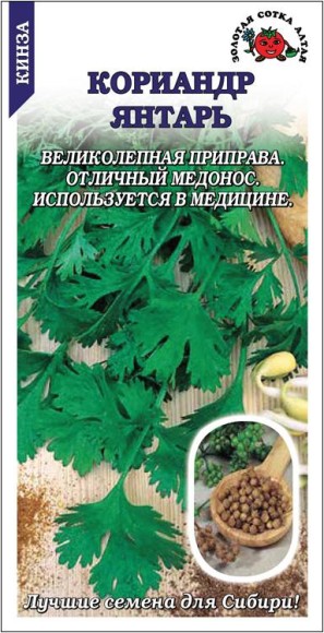 Пряность кориандр Янтарь ЦВ/П (СОТКА) 2гр среднеспелый