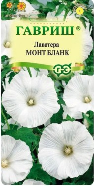 Цветы Лаватера Монт Бланк ЦВ/П (ГАВРИШ) 0,3гр однолетник до 1,2м